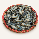 Motka Chingri (মটকা চিংড়ি) 3KG